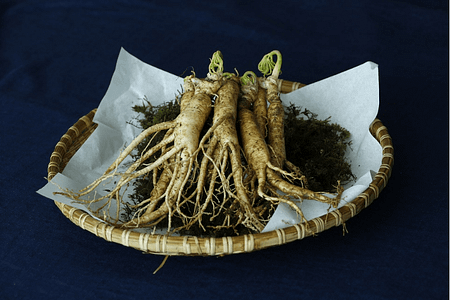 root crop